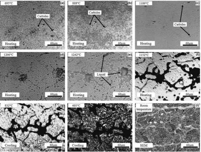 Fig. 8. (a–h) HT-CLSM snapshots for the sequence of partial remelting of M2 during heating at 200 °C min –1 until 1250 °C and the subsequent cooling