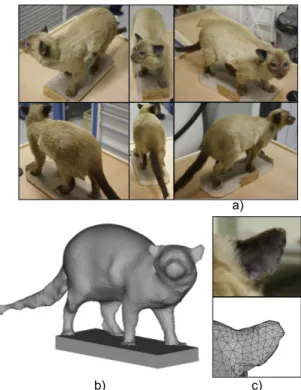 Figure 2. Taxidermized cat used to validate the HRTF computation procedure. (Color online) (a) Examples of photographs used for the 3D-model  es-timation