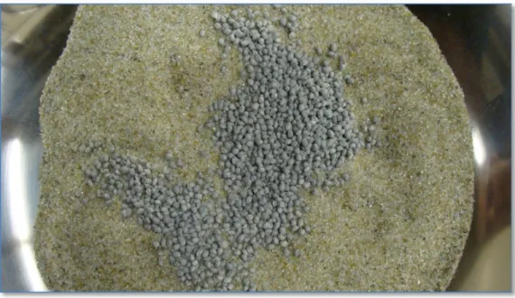 Figure 3.4 Granules de SBS avant malaxage à chaud dans le sable de verre C 