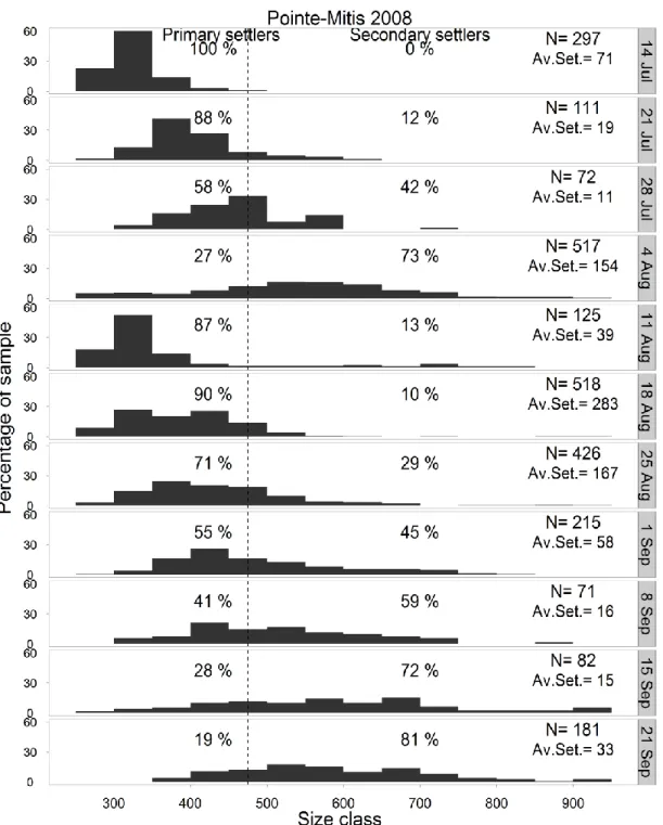 Figure 3.4 Mytilus spp. Temporal change in size–frequency distribution (250–2000 µm, the  last  size  class  ranges  from  900  to  2000  µm)  of  settlers  collected  weekly  at  Pointe-Mitis,  Québec, Canada, during summer 2008 (experiment 2)