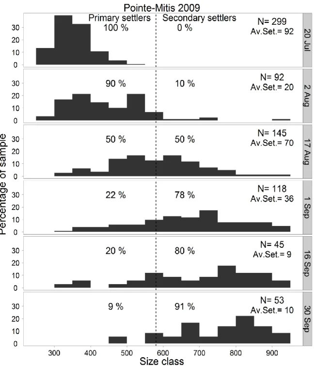 Figure 3.6 Mytilus spp. Temporal change in size–frequency distribution (250–2000 µm, the  largest  size  class  ranges  from  900  to  2000  µm)  of  settlers  collected  biweekly  at   Pointe-Mitis,  Québec,  Canada,  during  summer  2009  (experiment  3)