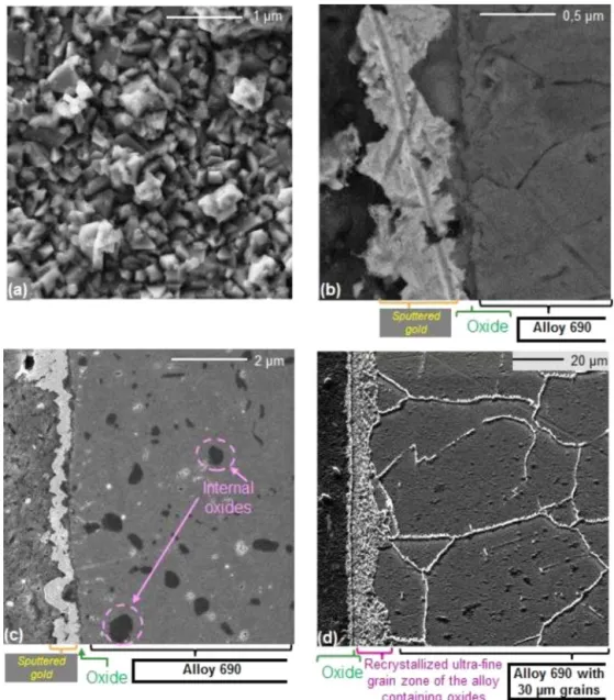 Fig. 7. SEM observations [mainly performed at 5 kV] of Alloy 690 M sample oxidized 840 h in SCW conditions (600 ◦ C, 25 MPa)