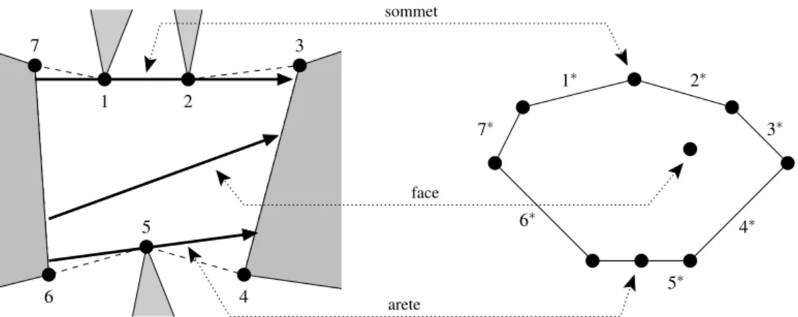 Figure 2.11 – Éléments du complexe de visibilité et leur correspondance dans l’espace dual.