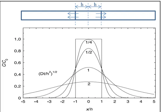Figure 1.3 Diffusion depuis une plaque de largeur 2h pour différentes   valeurs de √ /ℎ 