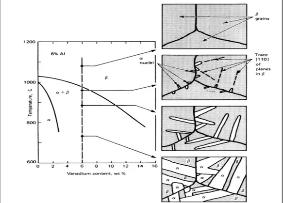 Figure 1.9 Schématisation du mécanisme des formation des structures lamellaires  Tiré de Donachie (2000, p