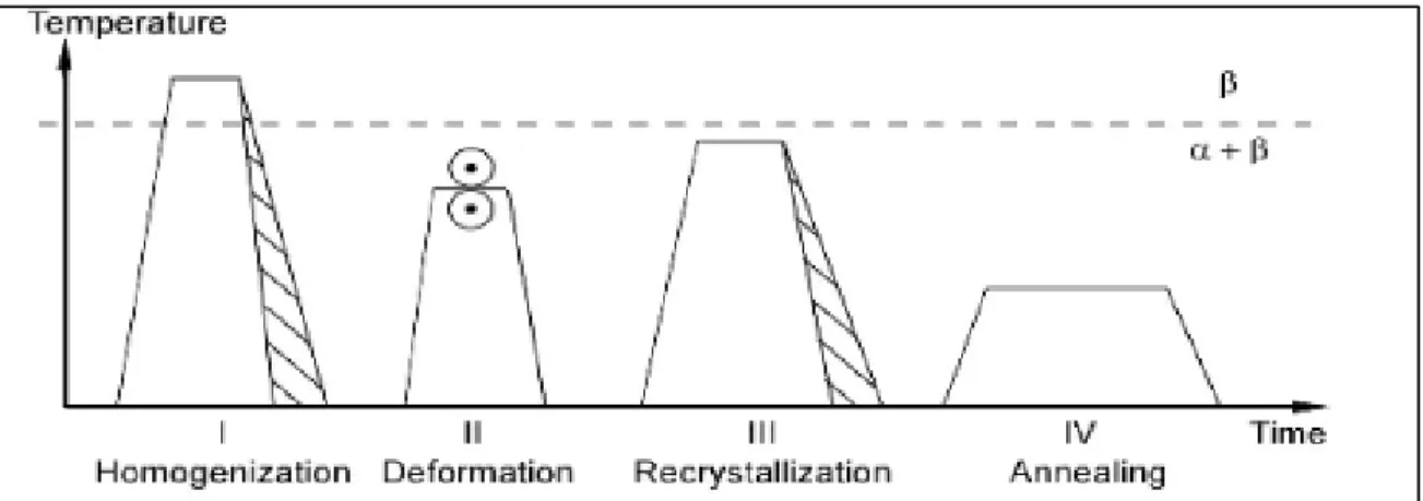 Figure 1.12 Schématisation des procédés thermomécaniques pour obtenir  une structure bimodale du Ti-6Al-4V 