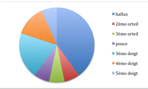 Figure 1 : répartition des cas en fonction de la localisation 