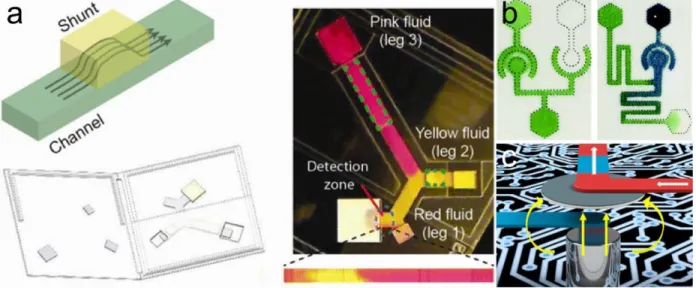 Figure 2-3. (a) A shunt used as a dissolvable bridge to connect two paper channels.  Reprinted  from [58]