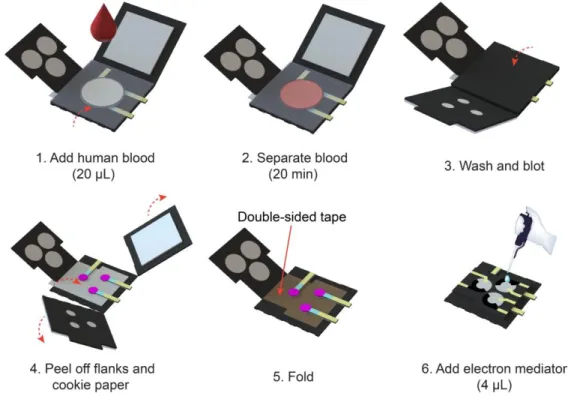 Figure 3-2. Operation steps of an assay for detecting CVD in human blood on the E-μPAD
