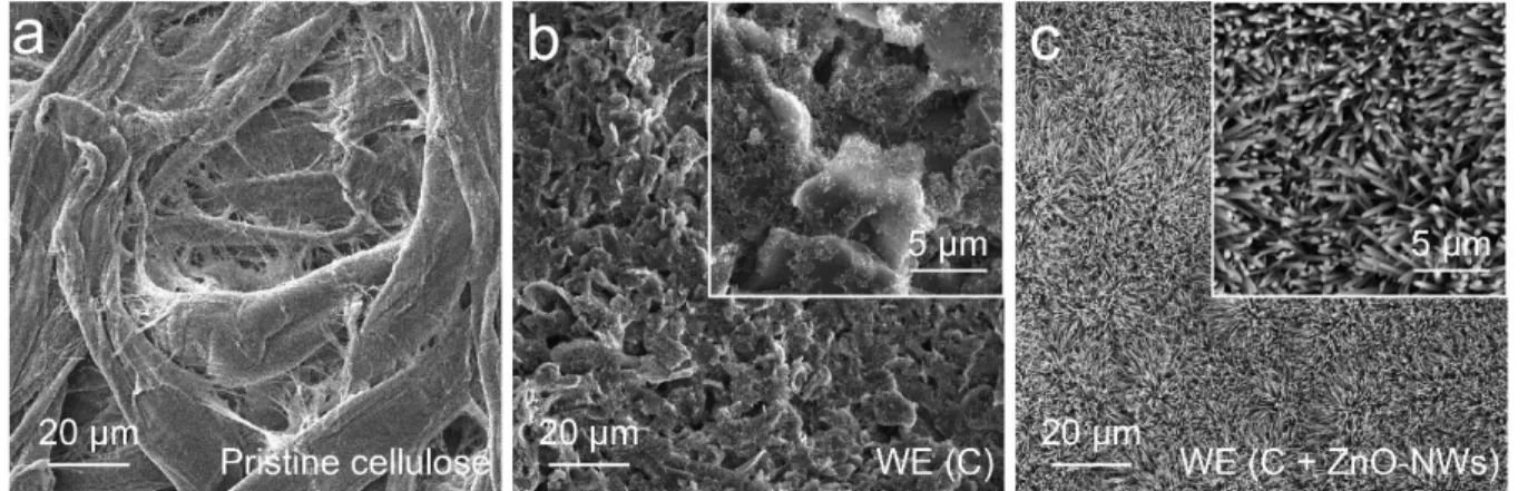 Figure 3-3. SEM images of (a) pristine cellulose, (b) carbon-printed WE (C), and (c) ZnO-NW- ZnO-NW-coated WE