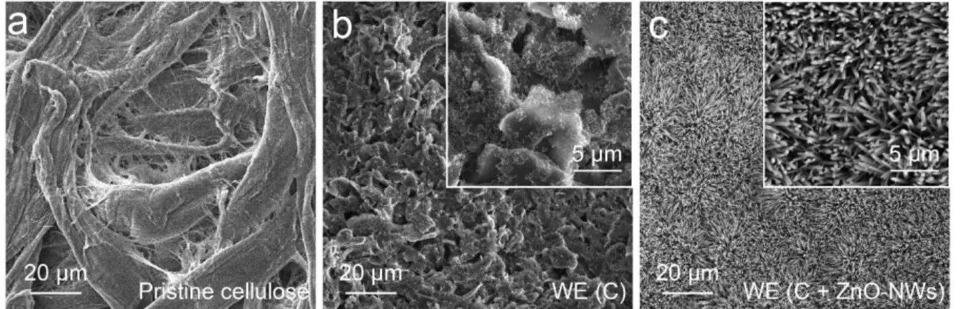Figure 3-3. SEM images of (a) pristine cellulose, (b) carbon-printed WE (C), and (c) ZnO-NW- ZnO-NW-coated WE