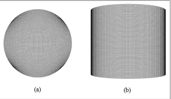 Figure 1.6 Maillage quasi-structuré utilisé pour le mélangeur. (a) : surface libre et fond,  (b) : paroi latérale 