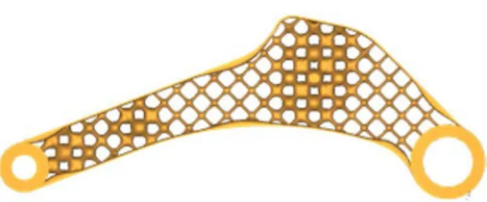 Fig. 5  Example of an optimized lattice structure using homogenized  materials and preserving the topology (source Autodesk) 