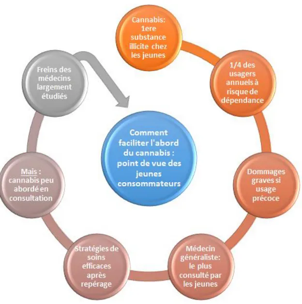 Figure 1 : Pourquoi s’intéresser aux jeunes consommateurs de cannabis  et à leurs médecins généralistes ? 