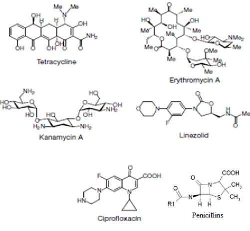 Figure 3.1. Structure of antibacterial drugs. a, Antibiotics include a set of natural  products,  penicillins,  macrolides  (represented  by  the  erythromycin),  tetracyclines,  aminoglycosides  (represented  by  kanamycin)  and  linezolid