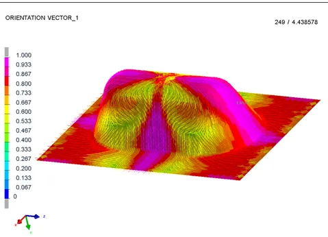 Fig. 2 Orientation field computed with the planar component of the Folgar &amp; Tucker model for a composite part