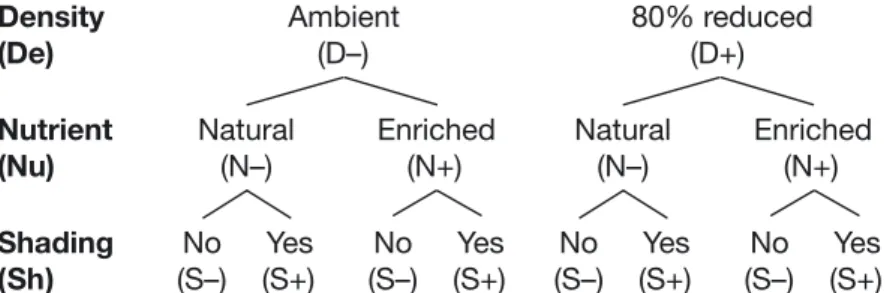 Fig. 1. Schematic of the experimental design displaying the 3 stressor treat- treat-ments: eelgrass density reduction (De; 2 levels: 0% in D− or 80% reduction in D+; pulse-type disturbance), nutrient enrichment of the sediments (Nu; 2 levels: no addition i
