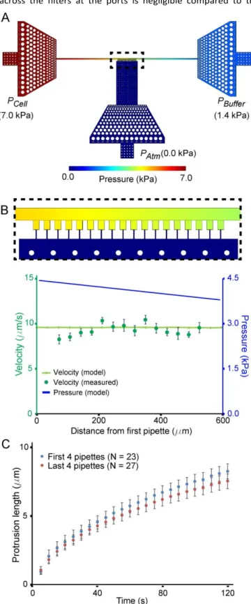 Figure  3:  Modeling  of  the  pressure  distribution  across  the  device.  (A)  Pressure  distribution  obtained  from  3-D  computational model in the condition in which the micropipette  channels are closed, corresponding to experimental conditions 