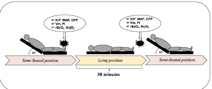 Figure 1. Study protocol and timing of data collection (daily procedure) 