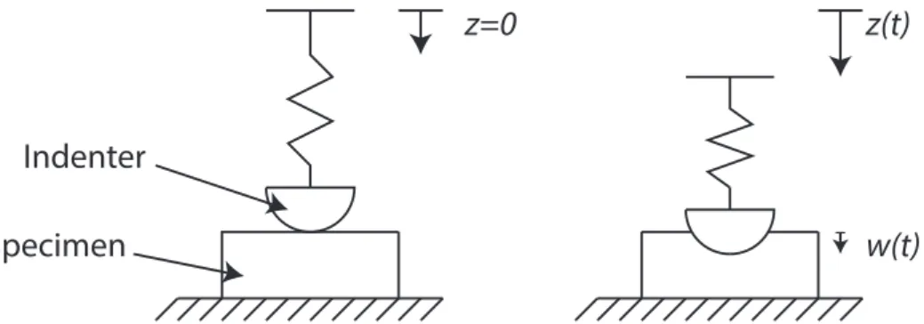 Figure 1. The reference for z = 0 is taken at the point of contact of the indenter with the specimen, w ( t ) is the penetration depth of the probe into the specimen.