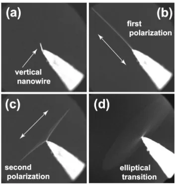 Figure 1 shows SEM observations of the elliptical move- move-ment of a SiC nanowire stuck at the end of a large tungsten support tip