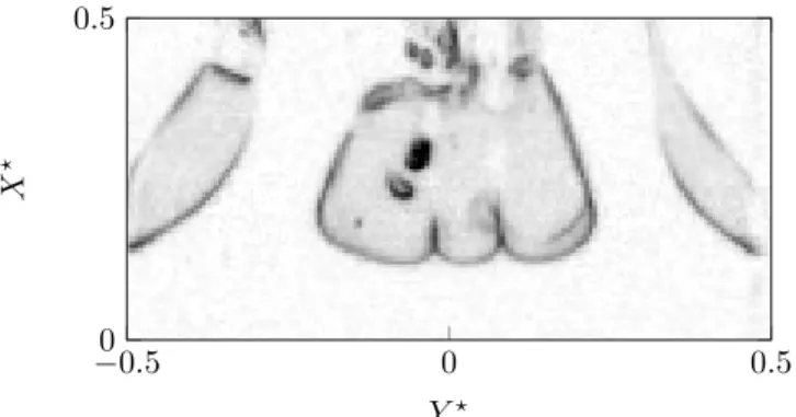 FIG. 14. Attached “band” cavity and “tadpole” cavities top view captured at Re = 1204 and σ = 6.04.