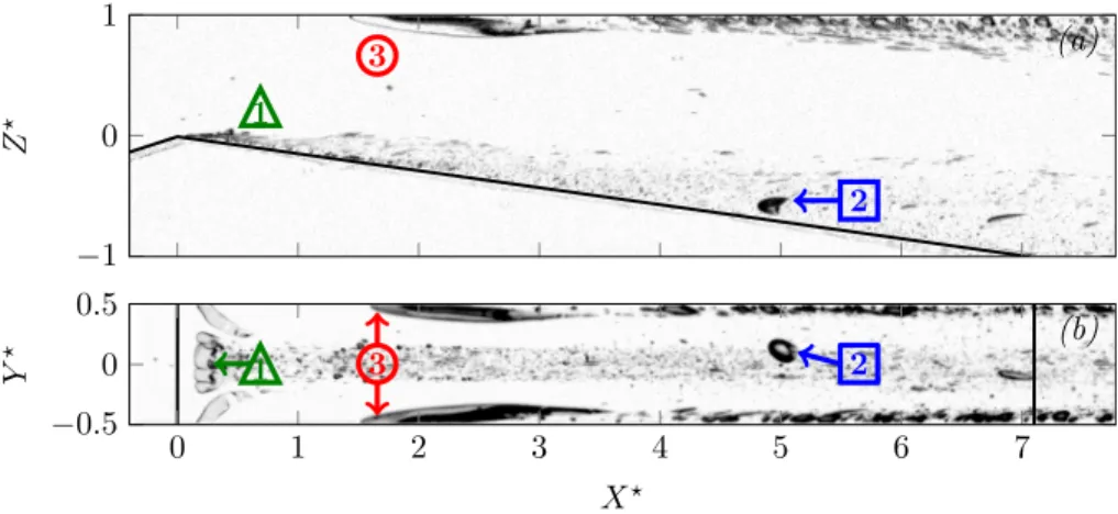 FIG. 11. Side (a) and top (b) views of a laminar multiphasic flow captured at Re = 1201 and σ = 5.87 with 47V 100 silicon oil.