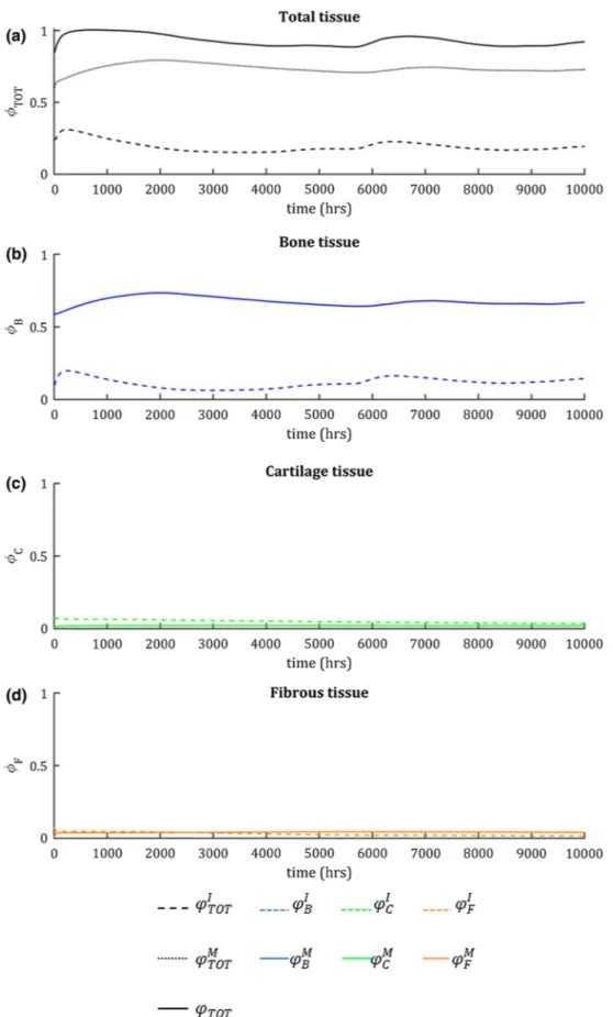 Fig. 8 The tissue volume fraction evolutions averaged across the entire beam for a total, b bone, c cartilage, and d fibrous tissue in Simulation 1