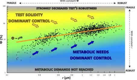 Figure 5.  Overall test porosity as a function of pore radius in the empirical data set (black dots, n  = 1386),  compared with the results of the scaling law model (the orange line Ф ~ r 1/2 )