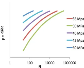 Fig. 8 Evolution of the local damage ratio for different values of the applied fatigue stress