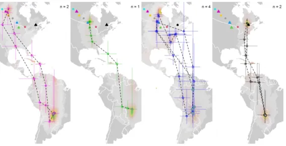 Fig. 2 Breeding, autumn migratory stopover regions and non-breeding locations of Connecticut warblers  captured throughout their breeding distribution