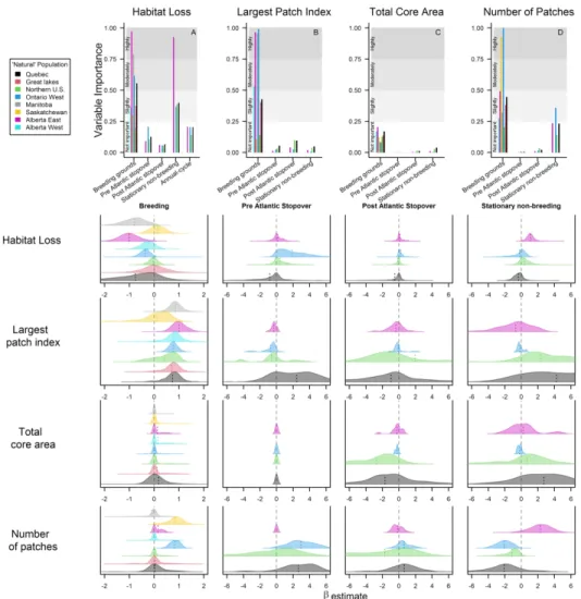Fig. 4 The relative importance of forest loss and forest fragmentation metrics on population declines of  Connecticut warblers (A) and the posterior distribution of the \beta coefficients (B)