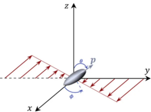 Fig. 4. Spheroid particle placed in a linear shear flow. The flow is in the x-direction, the gradient in the y-direction and the vorticity in the z-direction