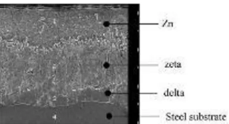 Figure 1: Scanning electron micrograph of hot-dip galvanized coating [87]. 