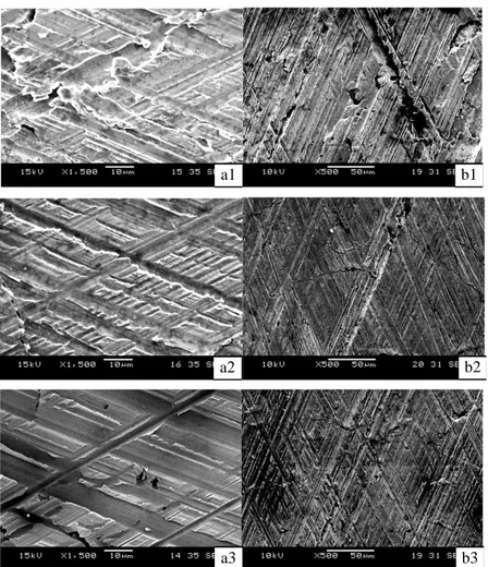 Figure 3 SEM photographs x1500 (left) and x500 (right) of plateau honed surface topography where plateau  honing process operating conditions are 5.5 bar honing pressure at different number of stroke (honing time) : 