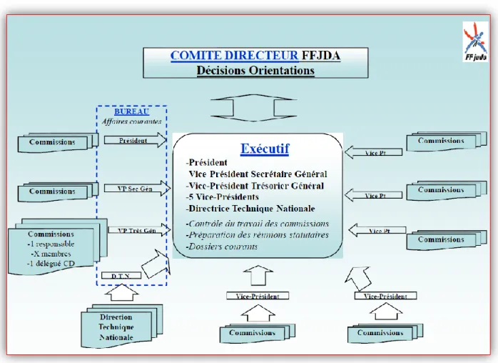Figure 4 : Comité directeur de la FFJDA (2008) 