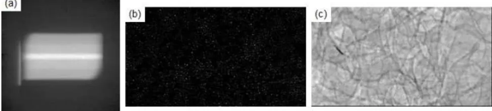 FIG. 4- Image processing for PIV in the liquid  FIG. 5- (a) before detection, (b) interface detection  (pixels coloured in black), (c) vapour detection 
