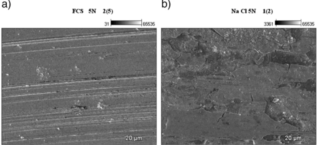 Fig. 5a and b shows the morphological characteristics of the worn coated surface, indicating the presence of abrasive features produced as a consequence of the differences between the hardness of the two counterparts.