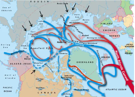 Figure  1.  Circulation  à  grande  échelle  dans  l'océan  Arctique.  Les  courants  de  surface  en  bleu  sont  constitués d’eau dérivée du Pacifique  et  les courants en rouge  d’eau dérivée de  l’Atlantique