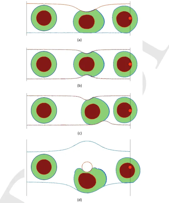 Figure 4: Migration through sub-cellular micro-channels at different time points.