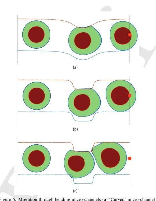 Figure 6: Migration through bending micro-channels (a) ‘Curved’ micro-channel (from left to right t = 0, 5000 s, 9000 s) (b) ‘Sharp’ micro-channel (from left to right t = 0, 5000 s, 9000 s) (c) ‘Sharper’ micro-channel (from left to right t = 0, 5000 s, 900