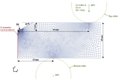 Fig. 17. Geometries, mesh and boundary conditions.