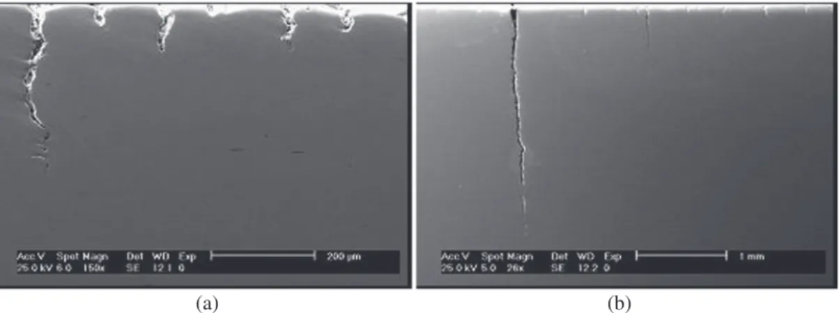 Fig. 12 Fatigue cracks depth distribution: (a) turned surface and (b) wire brush-hammered surface