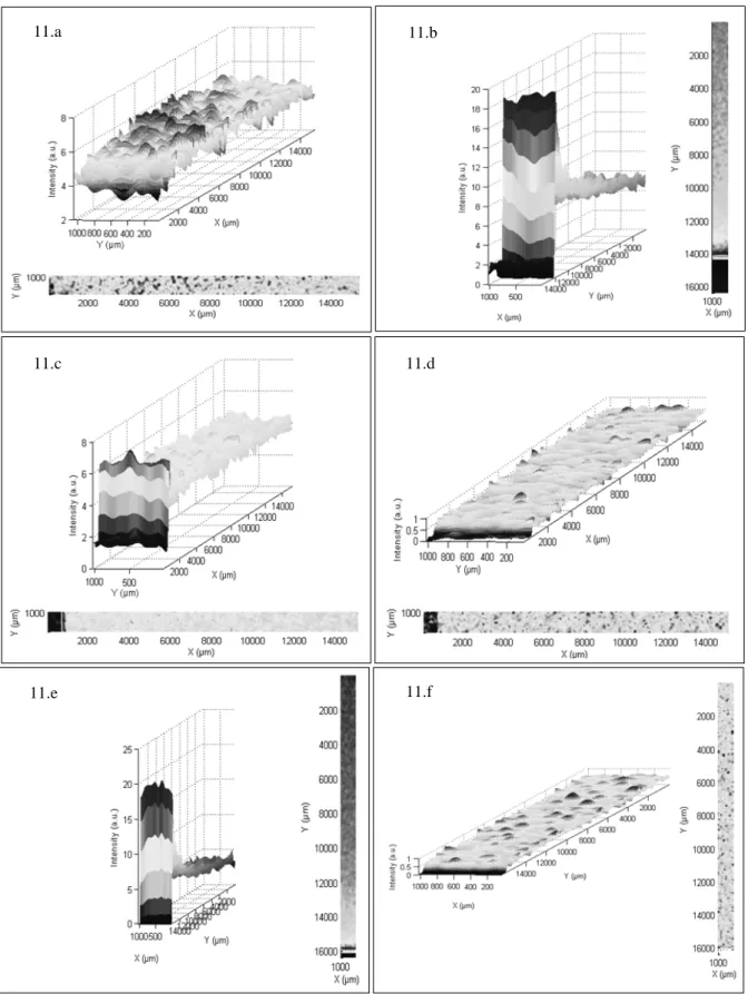 Fig. 11. Spatial distribution of zinc and magnesium chemical elements for Zn 1-x Mg x O samples measured by X- X-ray fluorescence 