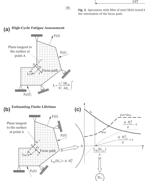 Fig. 3. Specimens with fillet of steel S65A tested by Gough [6] and angle f defining the orientation of the focus path.
