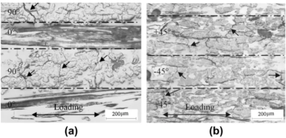 Fig. 12. Typical micrographs of (a) FE_090 and (b) FE_45 edges. Arrows pointing on the transverse cracks.