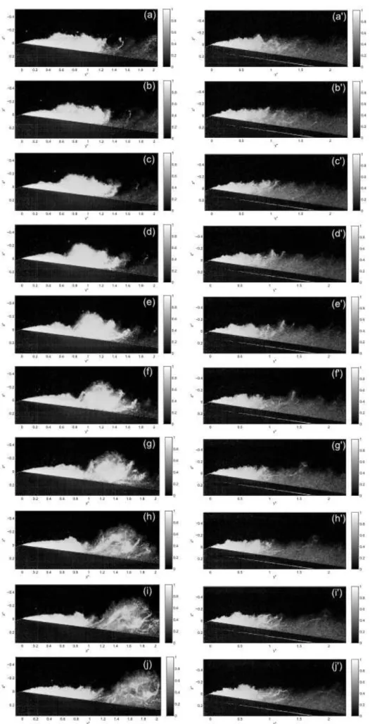 Fig. 14. Visualisation of (a-j) the cloud cavitation shedding for the smooth plate 0 and (a’-j’) the sheet cavity pulsation for the plate 8 , when σ =1.17 ( ∆t = 2 ms between two images)