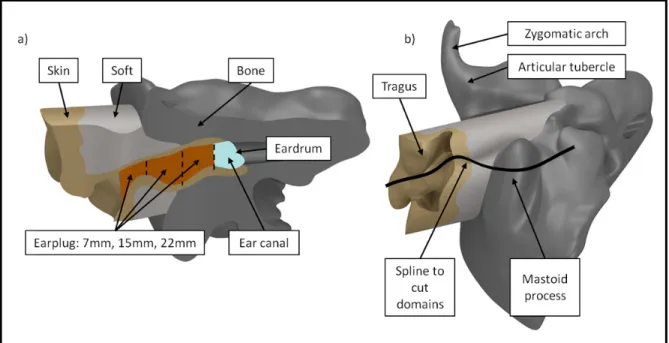 Figure 2.2: a) Anterior sectional view of occluded external ear model including all  modeled tissue domains