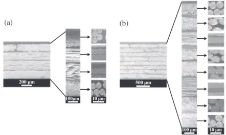 Fig. 1 shows their cross-sections in the through-thickness direc- direc-tion, the ﬁbres of the external plies are orthogonal to the cutting plane