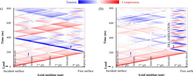 Fig. 6. Experimental free surface velocity of 4 ply laminates from 0 to 800 ns, without (sample B, 0.9 GW cm 2 ) and with shock-induced delamination (sample C, 1.03 GW cm 2 )